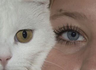 Jaka membraną w kurtce jest najlepsza?