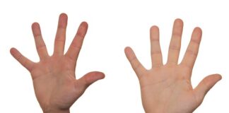 Czy można anulować bilet na Ticketmaster?