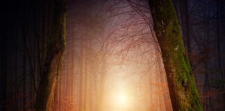 Czy można strzelić gola z rozpoczęcia gry?