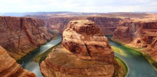 Co ile koniom zmienia się podkowy?