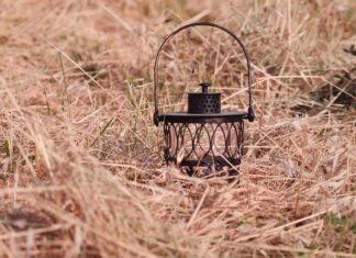 Ile kg owsa dla konia?