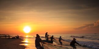 Czy ręką jest na spalonym?