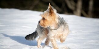 Jakie Noski do pedałów?