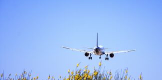 Jak myć pracie konia?