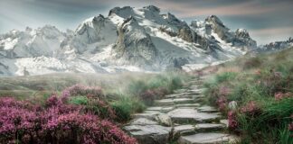 Czym jest krok zerowy?