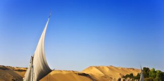 Jaka pianka do Egiptu?