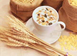 Czym zastąpić owies u konia?