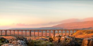 Jak sprawdzić czy bilety na koncert są prawdziwe?