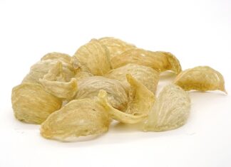 Co to jest kolagen dla koni?