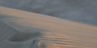 Ile pieniędzy ma Katar?