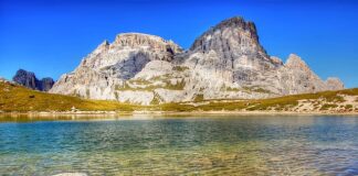 Jak się gra w szewca?