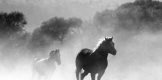 Czy można palić papierosy na stadionie Narodowym?