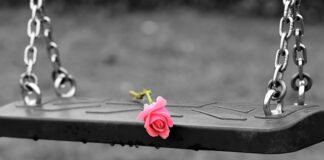 Dlaczego let a nie net?