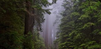 Czy na Narodowy można wejść z plecakiem?