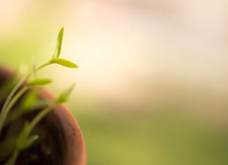 Jak jeździć szybciej?