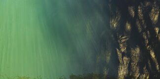 Jak sprawdzić poziom soli w organizmie?