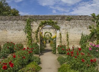 Jak się robi Calvados?