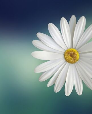 Jak zrobić biały sos do jajek?