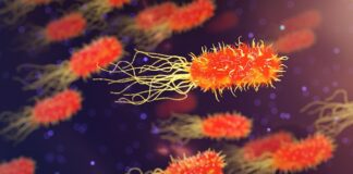 Co się dzieje w organizmie po wypiciu wody z solą?