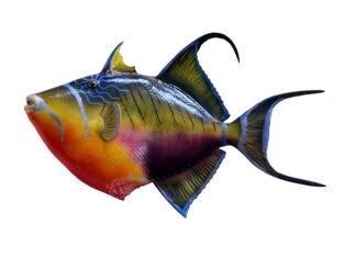 Gdzie wyrzucić zdechłą rybę?