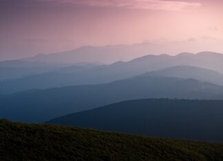 Jak zrobić warstwowy sok?