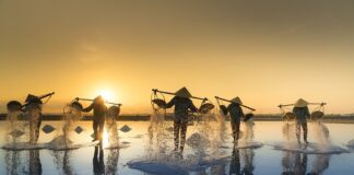 Czym się różni sól do zmywarki od zwyklej soli?