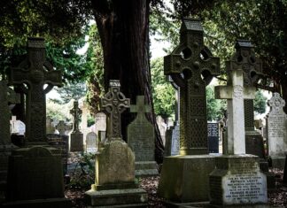 Co zamiast stempla do paznokci?