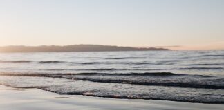 Jak się robi shoty?